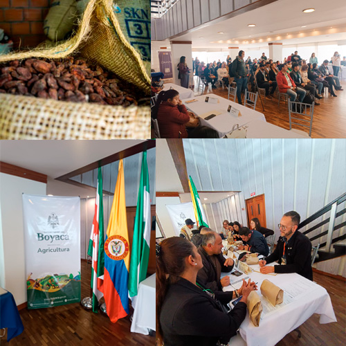 Productores de Cacao en Colombia NILO- Aroco