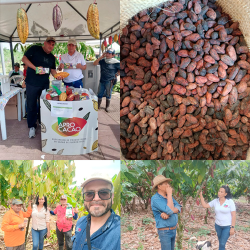 Productores de Cacao en Colombia NILO- Aroco