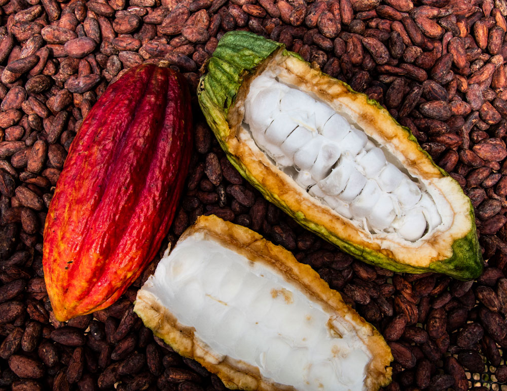 Wholesale and exportation cacao beans  and other cacao products - Aroco
