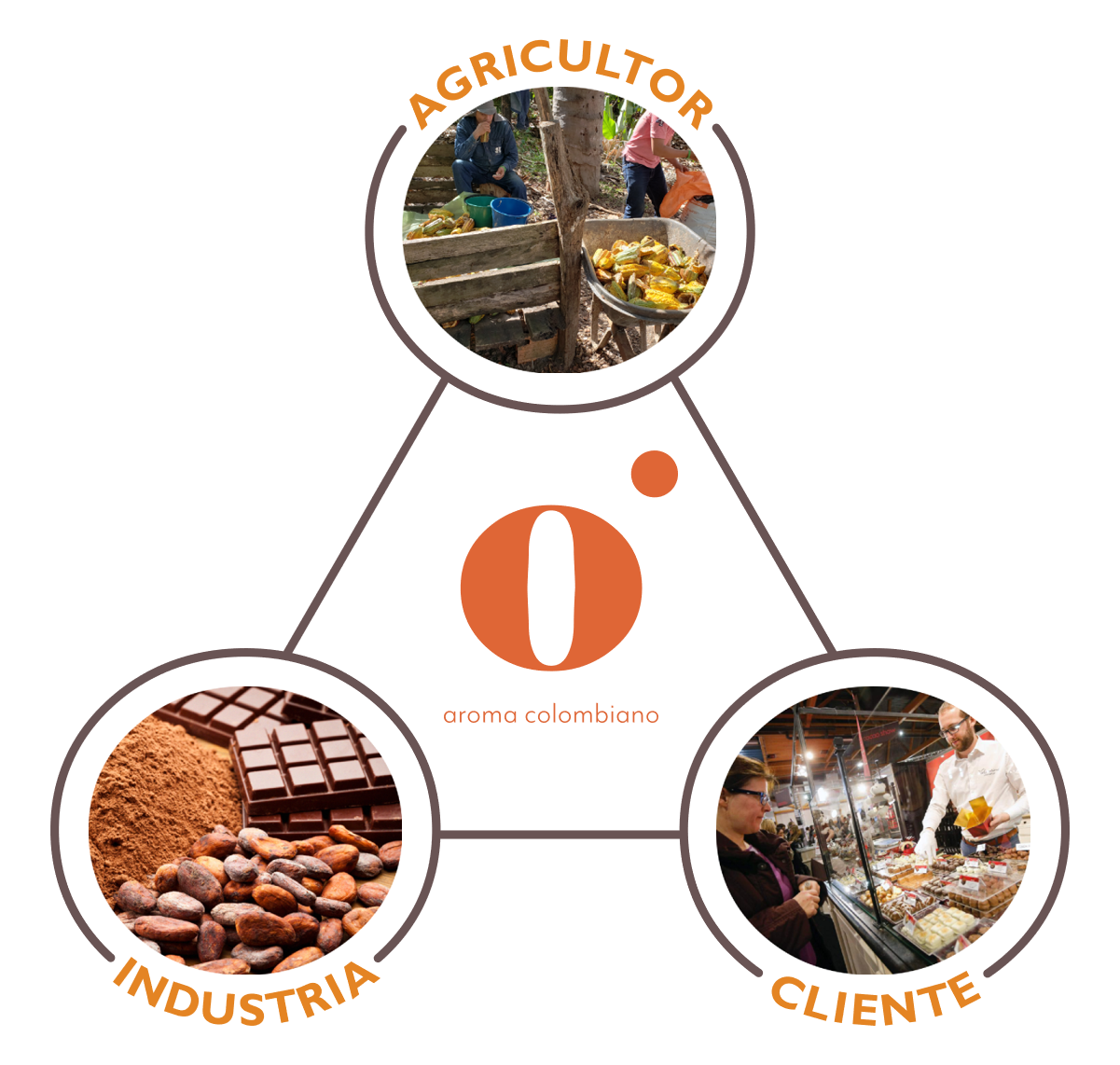 Our philosophy to produce cacao fino de aroma - Aroco